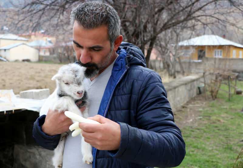 Murat Aydemir zachránil život kozla