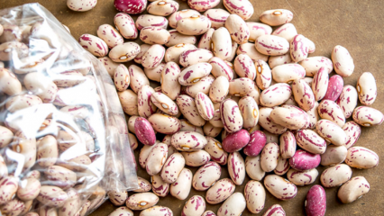 Aké sú výhody fazule? Ktorým chorobám fazuľa predchádza? Sú fazule škodlivé?