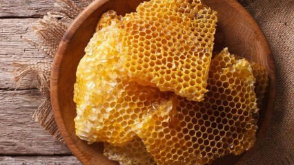 Aké sú výhody medu? Čo je to šialená otrava medom? Koľko druhov medu je? 