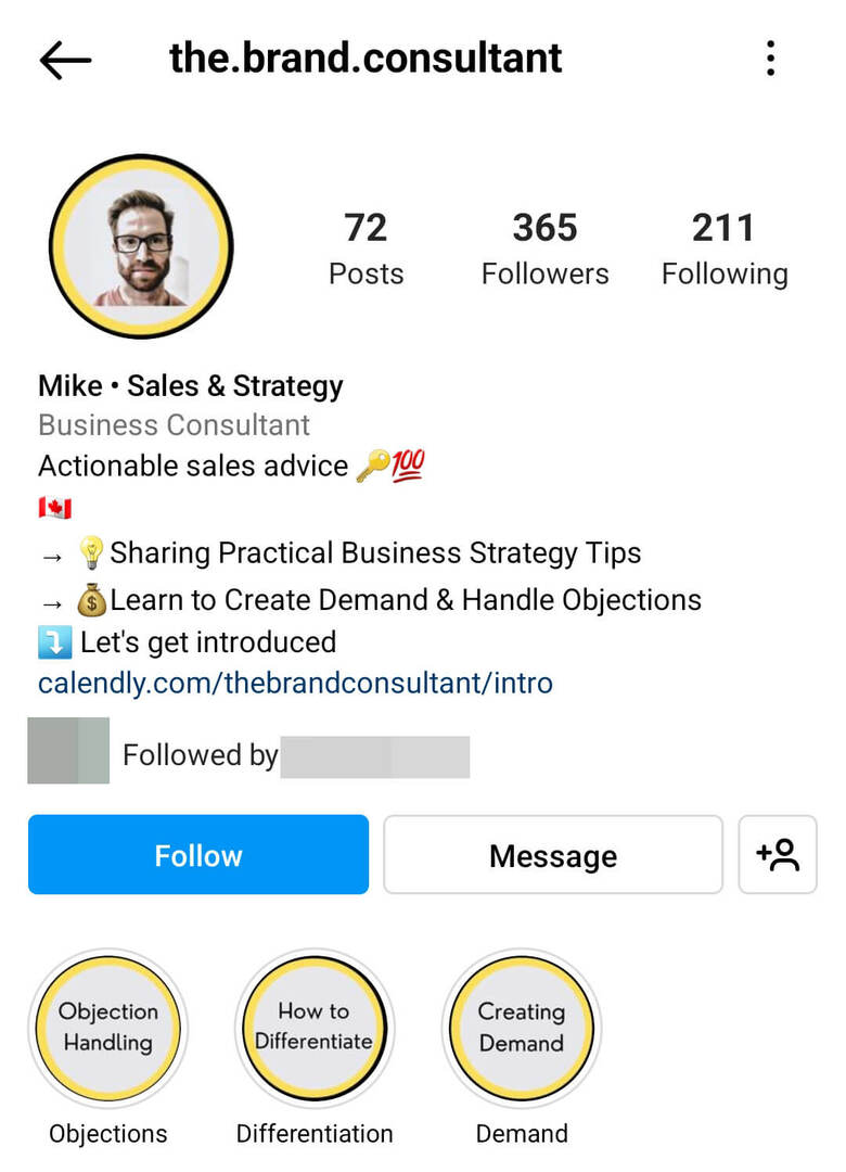 instagram-bio-the.brand_.consultant-service-service example
