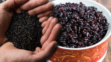 Aké sú výhody čiernej ryže? Ako sa volá čierna ryža? Ako sa konzumuje čierna ryža?