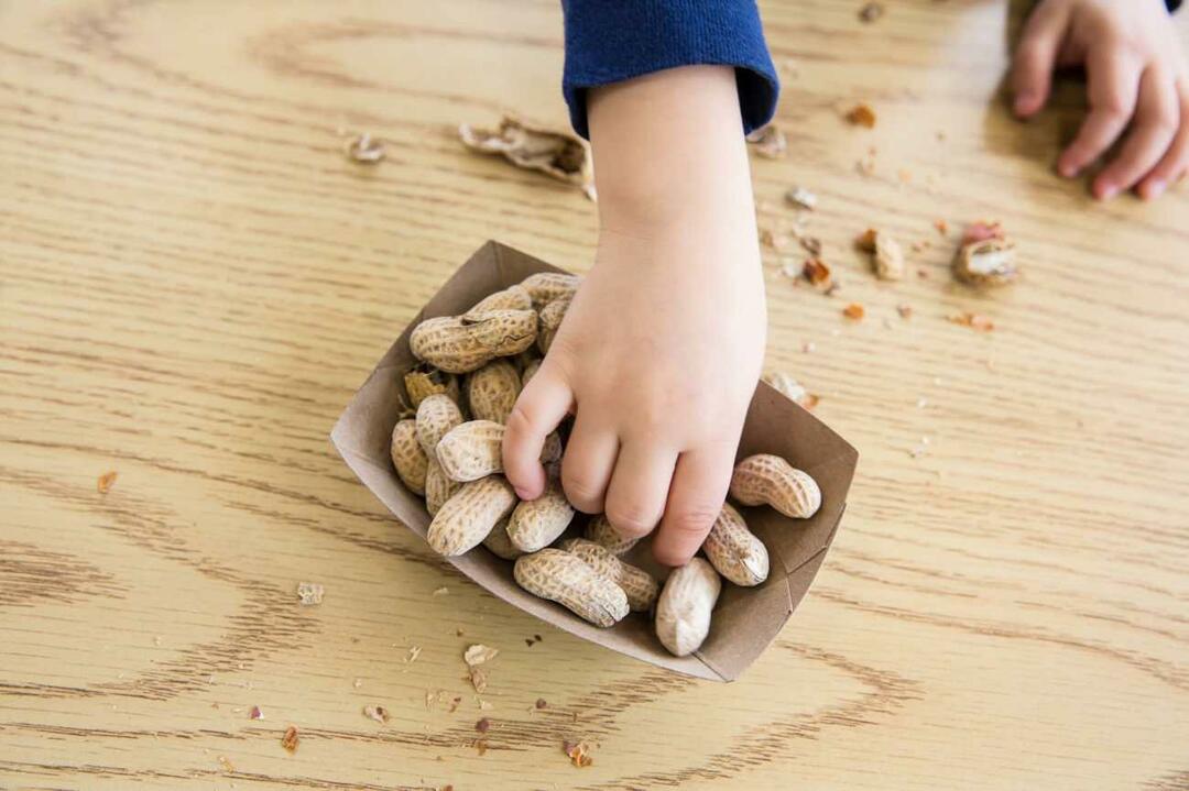 Konzumácia orechov u detí