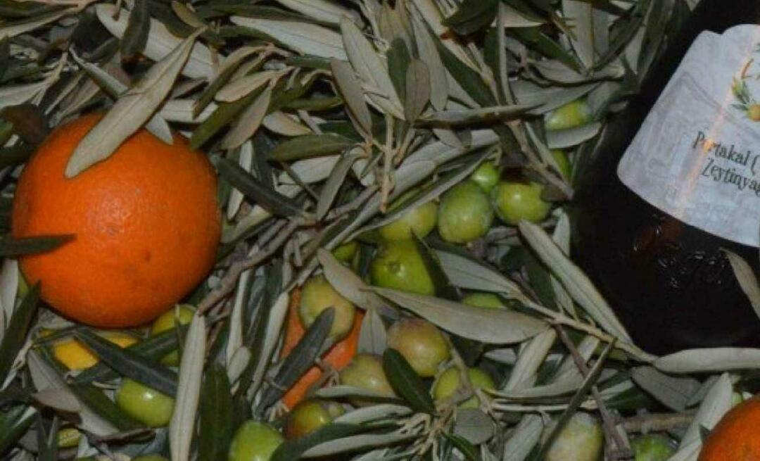Podnikateľky z Balıkesir vyrábali pomarančový olivový olej!