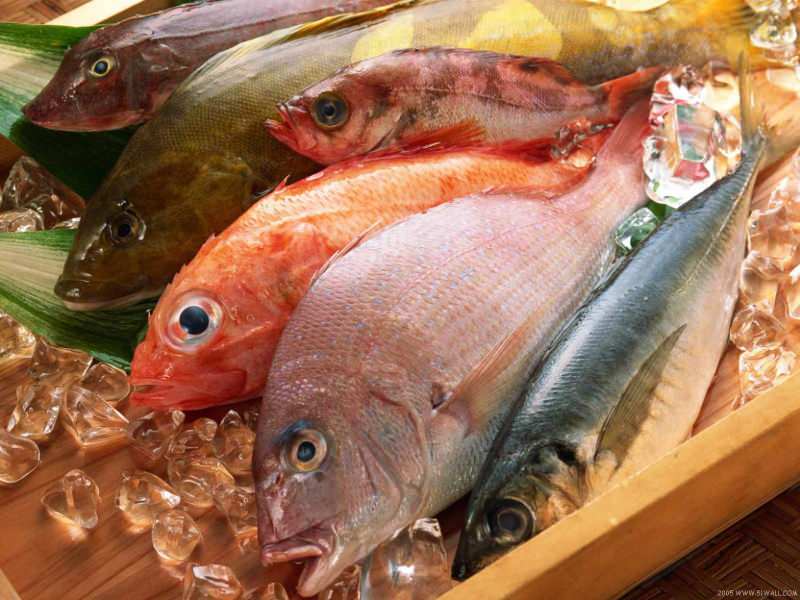 Tipy na výber čerstvých rýb od poroty Masterchef Mehmet Chef