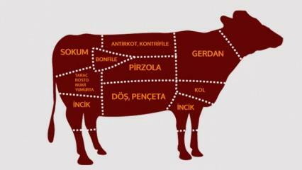 Aké sú časti hovädzieho mäsa? Ktoré mäso je rezané z ktorej oblasti?