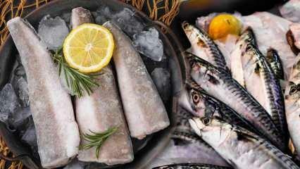 Ako sa ryby skladujú? Aké sú triky uchovávania rýb v mrazničke