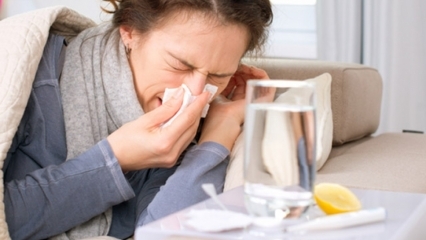 Aké potraviny sú vhodné na prechladnutie a chrípku? 5 potravín, ktoré bránia chrípke ...