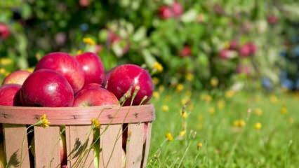 Tipy na udržiavanie čerstvého jablka
