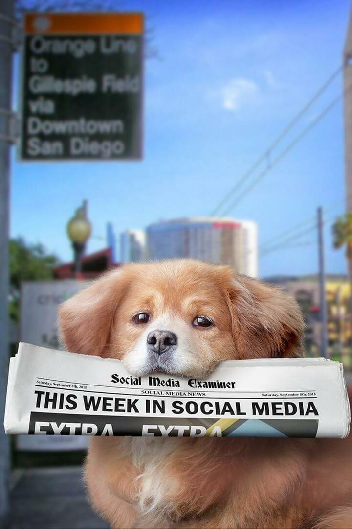 Vysielanie Periscope Natívne na Twitteri: Tento týždeň v sociálnych sieťach: Vyšetrovateľ v sociálnych sieťach