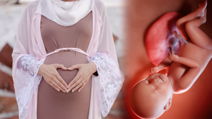 Modlitby sa majú recitovať za zdravie dieťaťa počas tehotenstva