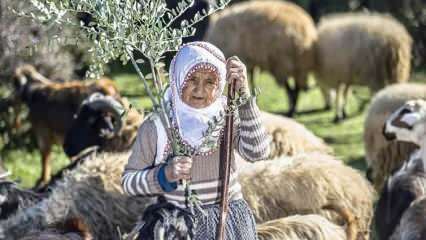 Teta Fatma bola pastierkou na úpätí pohoria Amanos už pol storočia!