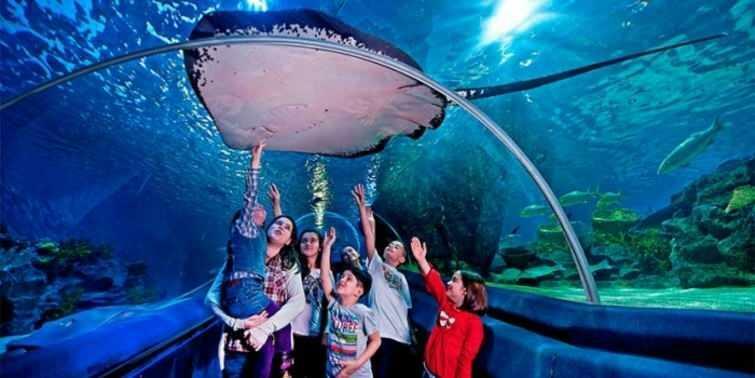  Rámy z Istanbul Sea Life Aquarium