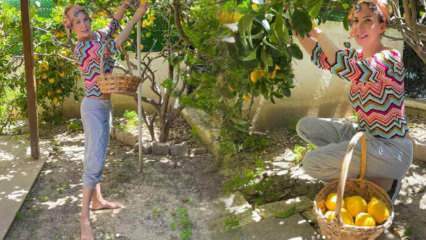 Speváčka Tuğba Özerk si vybrala citrón zo stromu vo svojej vlastnej záhrade!