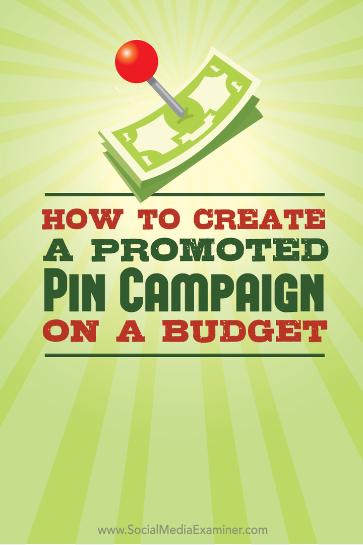 propagovaná pin kampaň s rozpočtom
