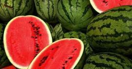 Ako si vybrať melón? Ako spoznať dobrý melón? Ako pochopiť motýľ vodný melón 