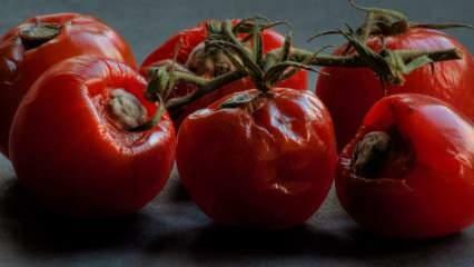 Nevyhadzujte zhnité paradajky do koša! Funguje to tak dobre