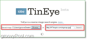 Screenshot TinEye - vyhľadajte duplikáty a väčšie verzie obrázka