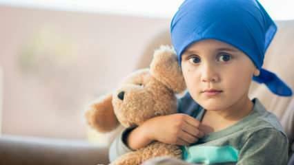 Čo je rakovina krvi (leukémia)? Príznaky a liečba leukémie u detí