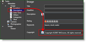 Fotografické nástroje programu Microsoft Pro Photo MetaData Auto Autorské práva:: groovyPost.com