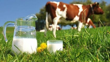 Čo je to alergia na mlieko? Kedy prechádza alergia na mlieko u dojčiat? Alergia na kravské mlieko ...