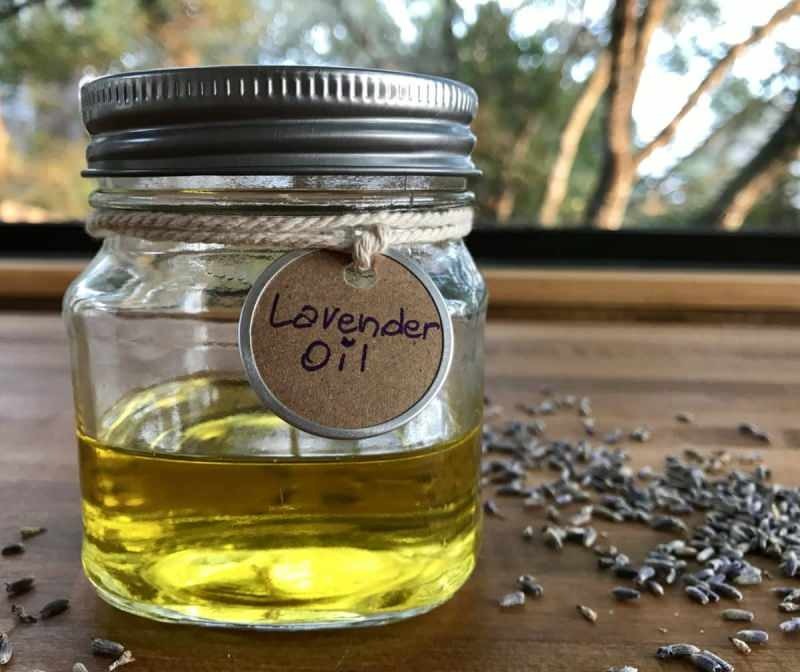 Ako sa získa levanduľový olej? Ako extrahovať levanduľový olej doma