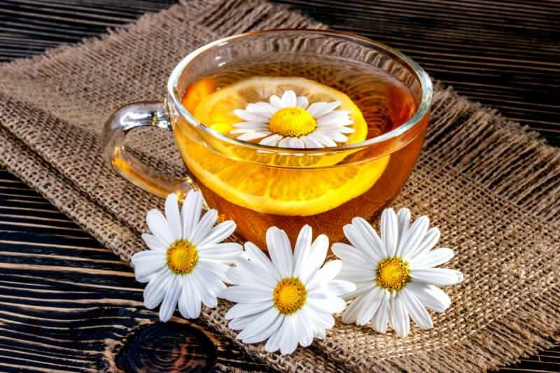 Je harmančekový čaj hladný alebo plný? Zvýšte metabolizmus pomocou harmančekového čaju