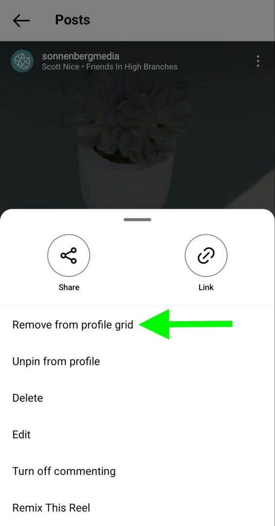 ako-na-instagram-odopnúť-role-profilu-odstrániť-mriežku-sonnenbergmedia-step-4