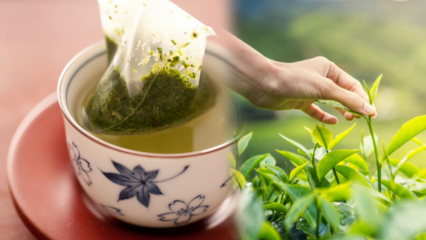 Oslabuje trasenie zeleného čaju? Aký je rozdiel medzi čajovými vreckami a vareným čajom? Ak pijete zelený čaj pred spaním ...