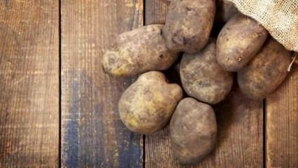 Ako sa skladujú zemiaky?
