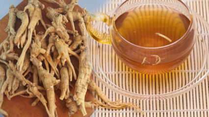 Aké sú výhody ženšenu? Ako sa ženšen konzumuje? Na čo je vhodný ženšenový čaj?