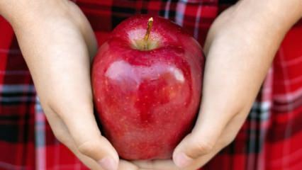 Ako sa hodnotia zhnité jablká? 