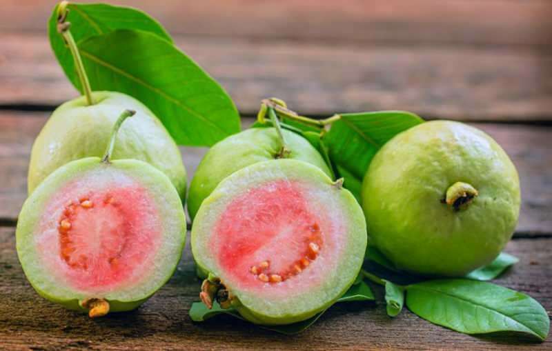 Obsahuje silné antioxidanty, ako sú paradajky guavan