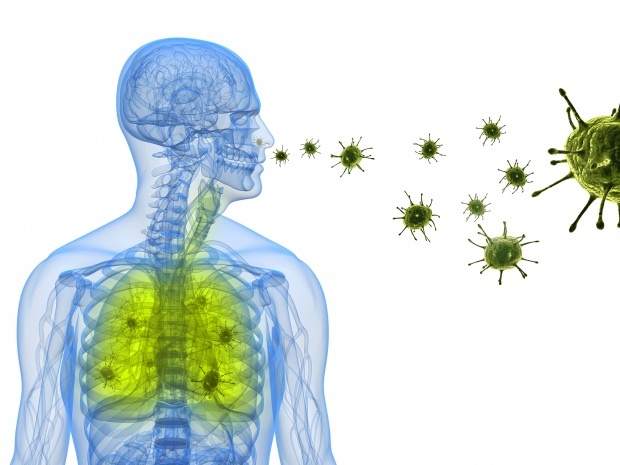 vírus koróny sa usadzuje v nose cez pľúca