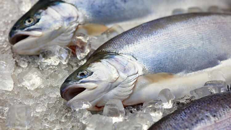 Mení sa chuť rýb hodených do mrazničky?