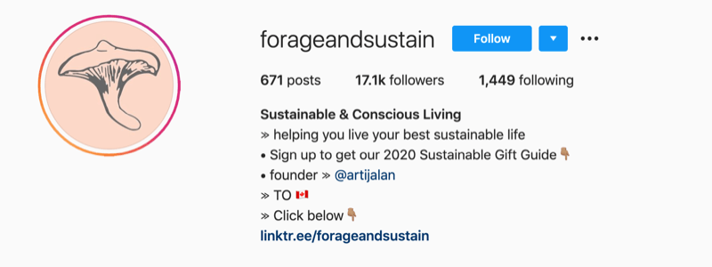 príklad profilu Instagram z @forageandsustain s poznámkou v informácii o jeho profile, aby ste klikli na odkaz na ďalšie