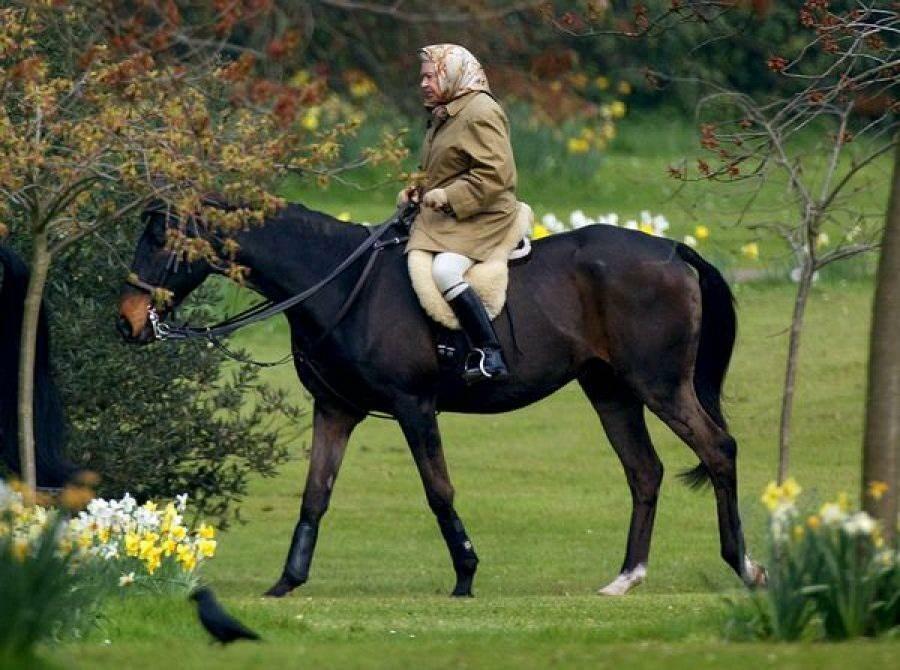 Kráľovná Alžbety na koni 