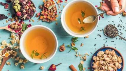 Aké bylinné čaje najrýchlejšie spaľujú tuk? 7 najúčinnejších bylinných čajov na spaľovanie tukov! 