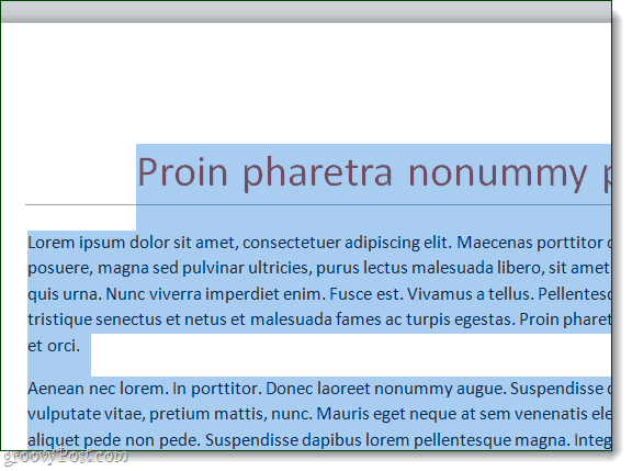 celý text zvýraznený a vybraný v slove 2010 doc