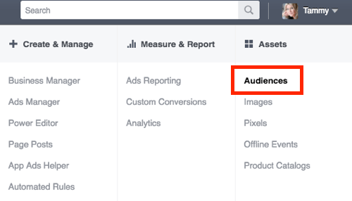 Prejdite do sekcie Publikum v aplikácii Facebook Ads Manager.