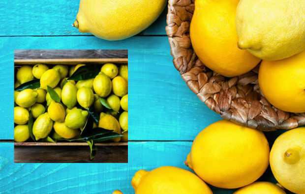 chudnutie s citrónovou stravou