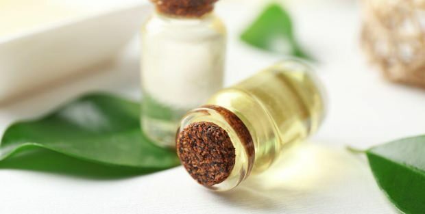 Aké sú výhody krémového oleja zo stromov čaju na pokožku? Odporúčania týkajúce sa použitia oleja z čajovníkového oleja