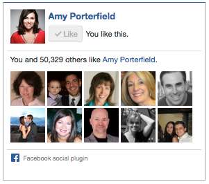 amy porterfield facebook ako box