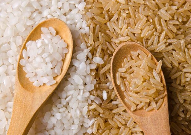 Hnedá ryža s bielou ryžou