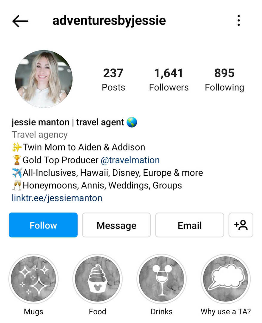 instagram-bio-adventuresbyjessie-business-name-example