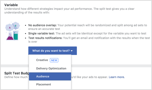 Premenná testu rozdelenia reklamy na Facebooku