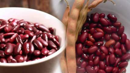 Aké sú výhody mexickej fazule? Ako konzumovať mexické fazule?