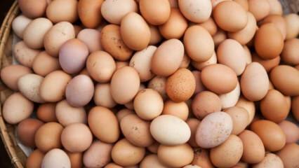 Čo treba brať do úvahy pri výbere vajíčka?