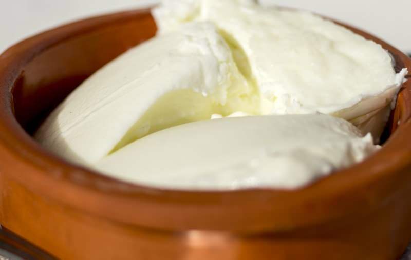 Aké sú výhody byvolieho jogurtu? Ako vyrobiť jogurt z vodného byvola a na čo je určený?