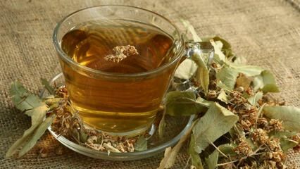 Aké sú výhody lipovej vody? Na ktoré choroby sú dobré? Ako pripraviť lipový čaj?