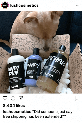 Instagramový obchodný príspevok so psom